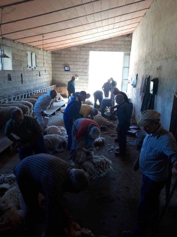 Fumu Ludurru Farm Stay Padru Kültér fotó